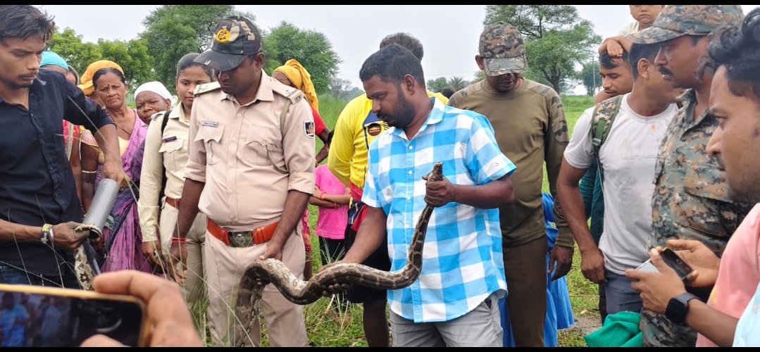 ବାହାଦୁରପଦର ତେଳନଦୀ ପୀଠରୁ ଆଠ ଫୁଟ ଲମ୍ବ ଅଜଗର ଉଦ୍ଧାର 